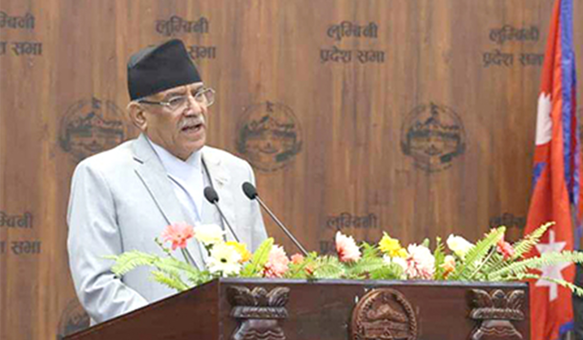 प्रदेश संरचना संघ र स्थानीय तहलाई जोड्ने महत्त्वपूर्ण सेतुः प्रधानमन्त्री